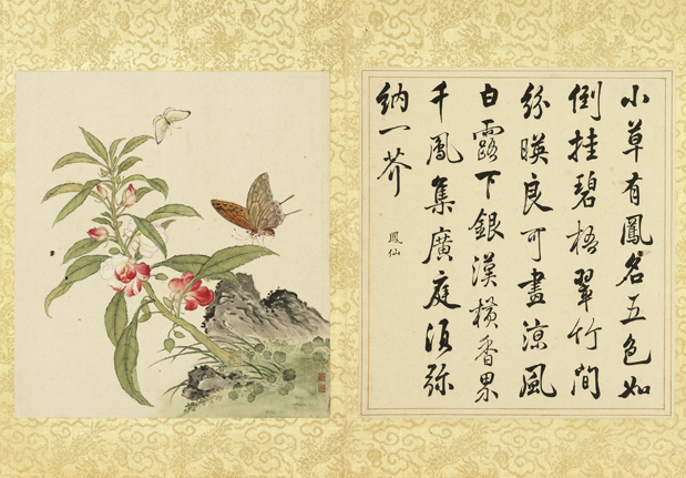 清蔣廷錫張照書畫合璧　冊　鳳仙倒掛